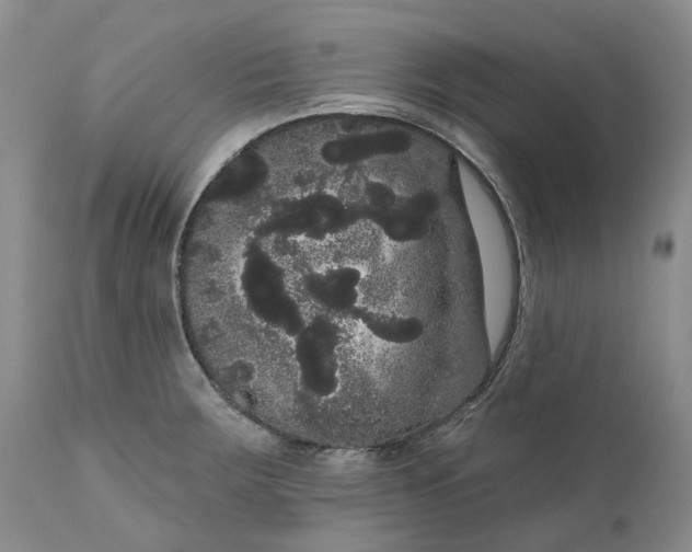 X0000111051283200907091625