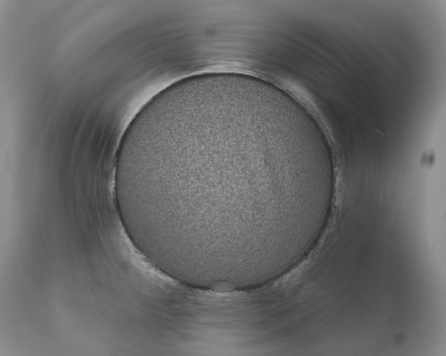 X0000111051284200907091625