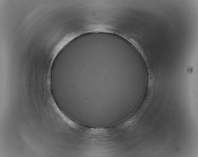 X0000111051285200907091625