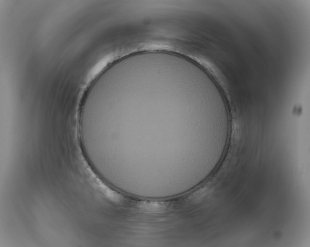 X0000111051286200907091625