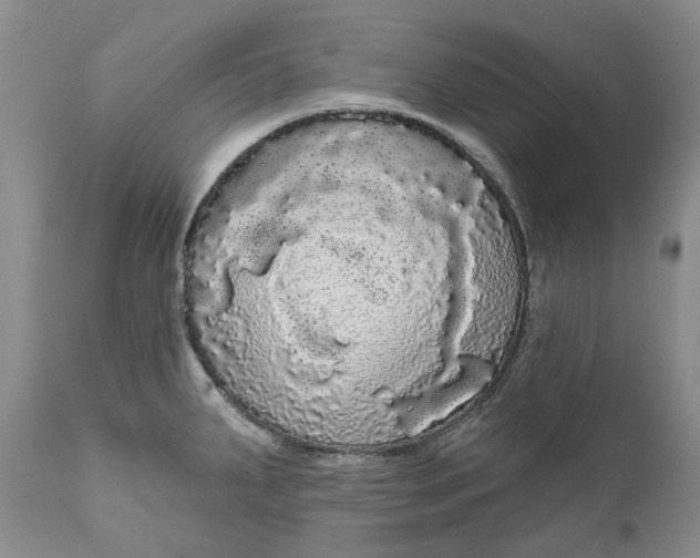 X0000111051287200907091625