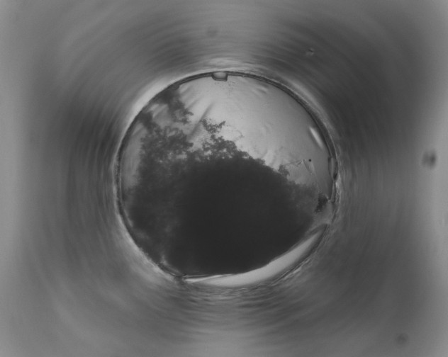 X0000111051291200907091625