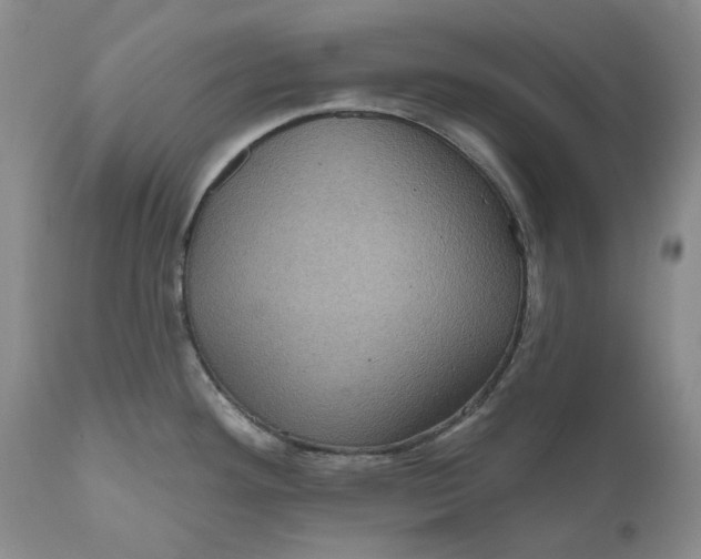 X0000111051292200907091625