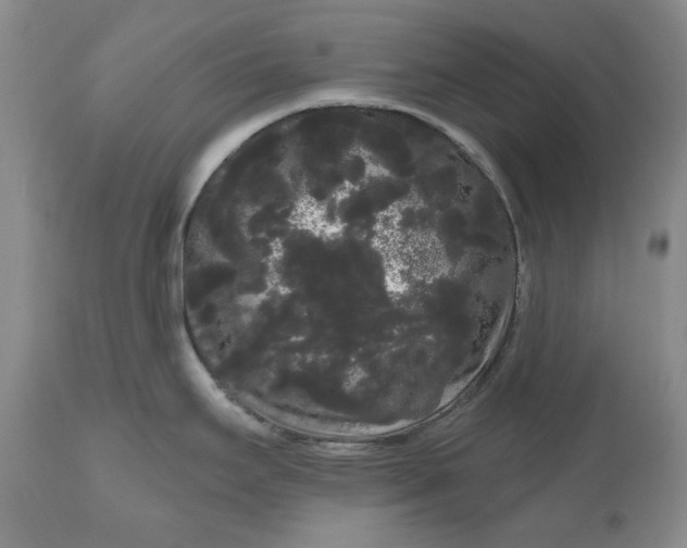 X0000111051295200907091625