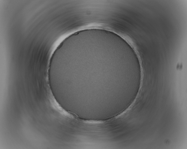 X0000111051296200907091625