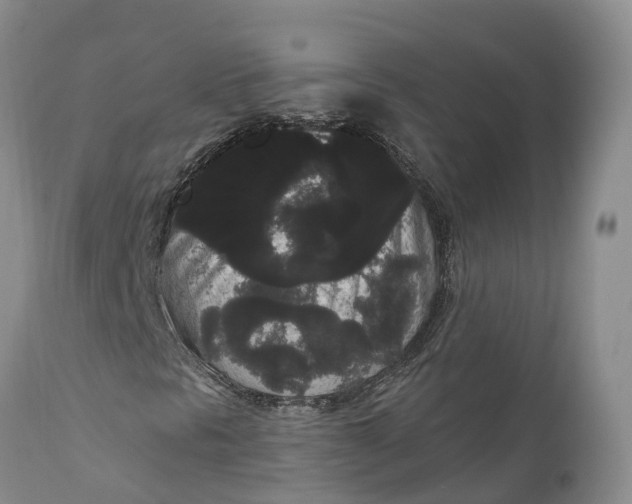 X0000111051297200907091624