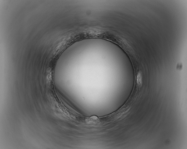 X0000111051299200907091624