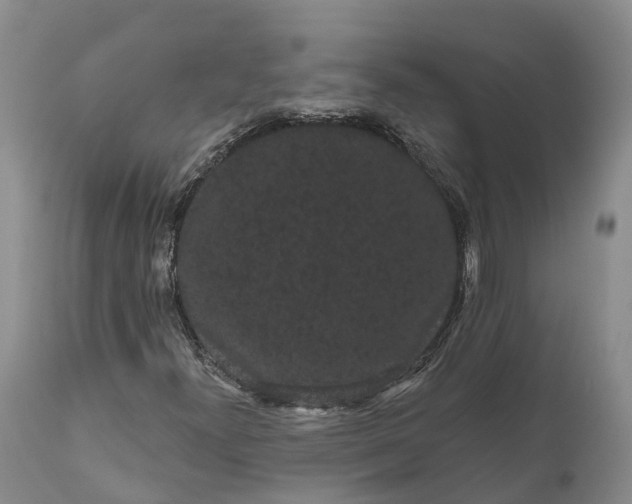 X0000111051300200907091624