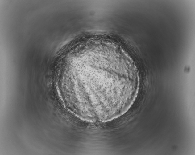 X0000111051301200907091624