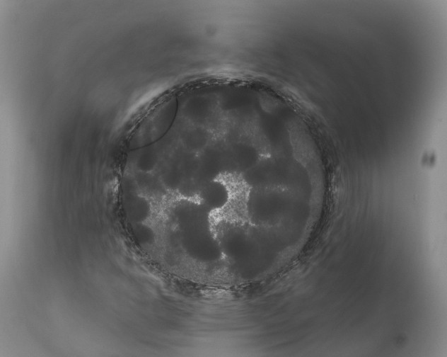 X0000111051302200907091624