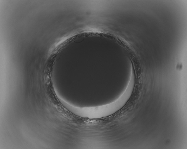 X0000111051303200907091624