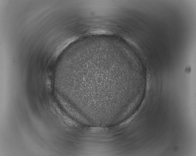 X0000111051305200907091624