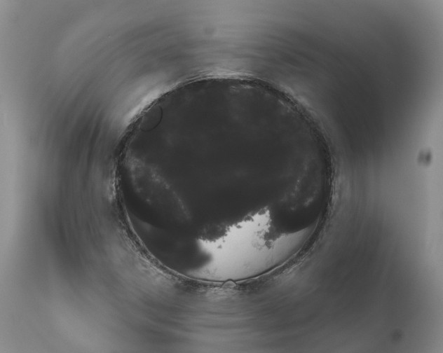 X0000111051306200907091624