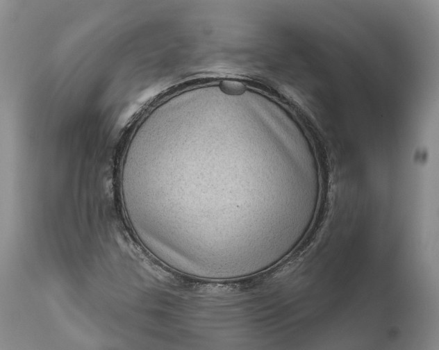 X0000111051307200907091624