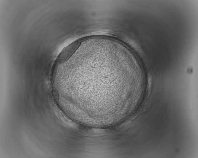 X0000111051308200907091624