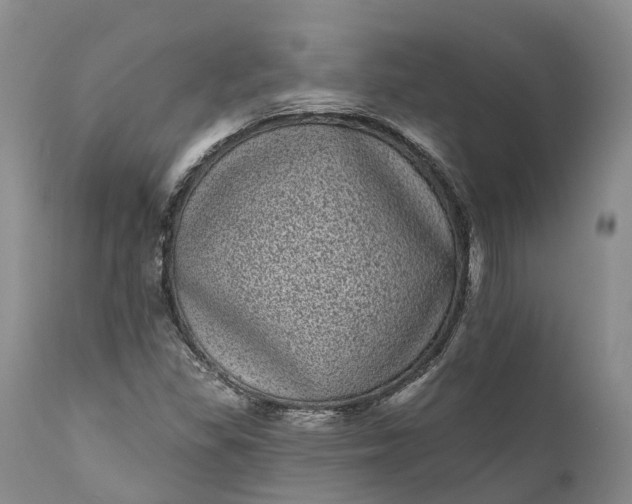 X0000111051309200907091624