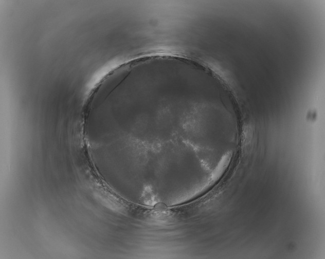 X0000111051310200907091624