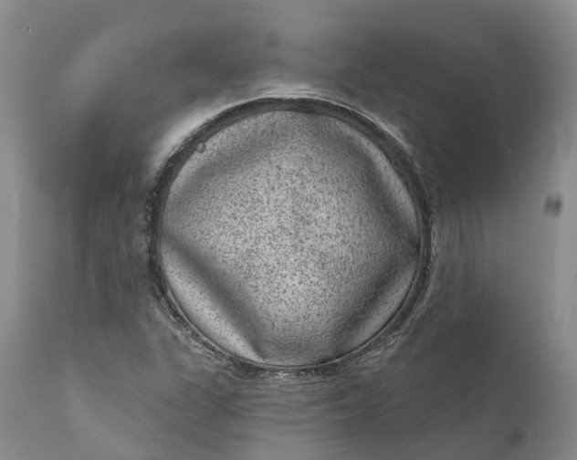 X0000111051311200907091624