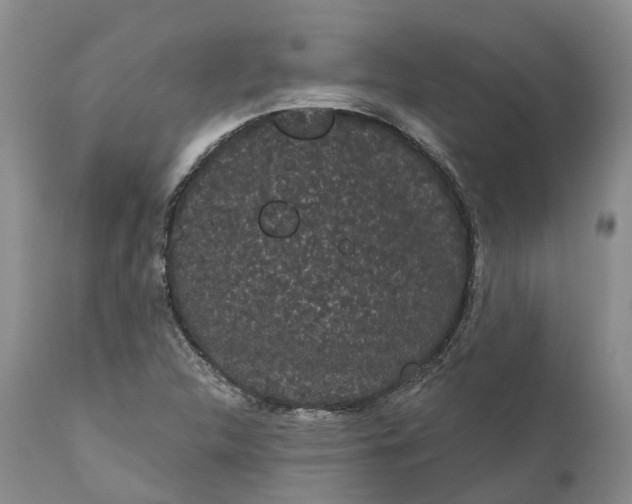 X0000111051312200907091624