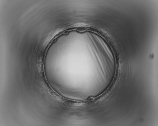 X0000111051313200907091624