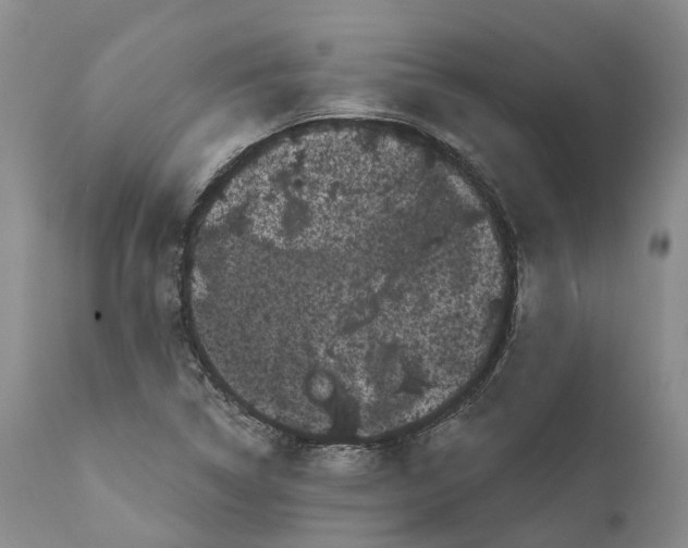 X0000111051314200907091624