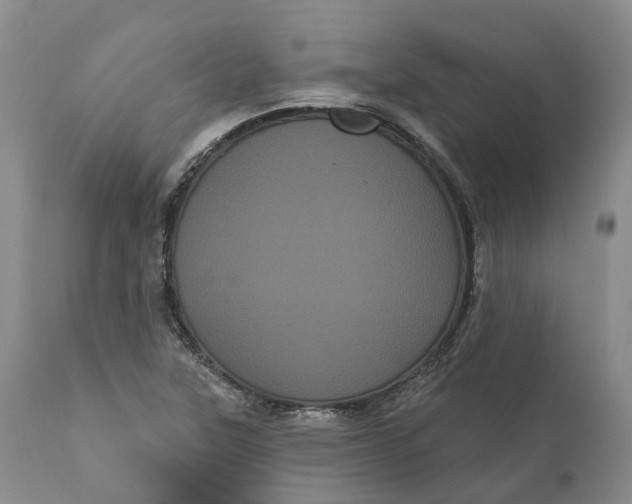 X0000111051315200907091624