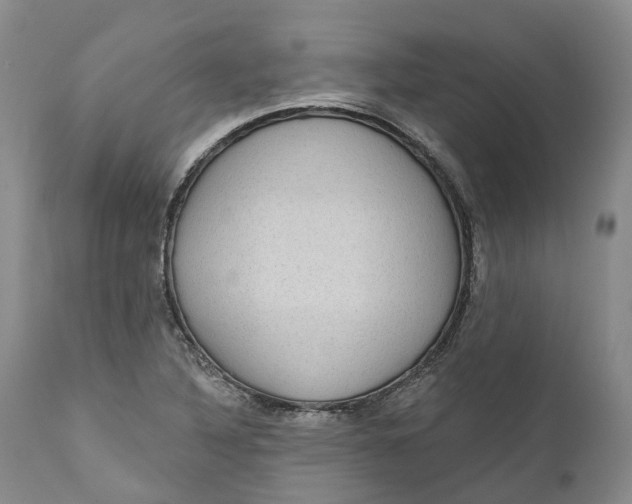 X0000111051316200907091624