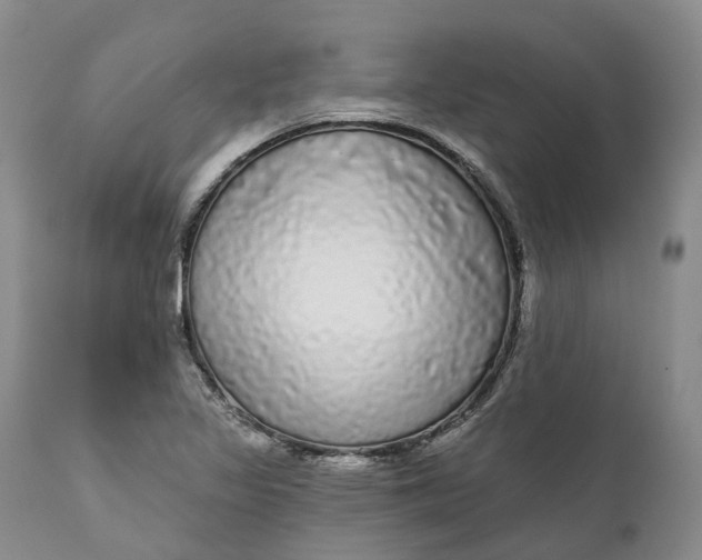 X0000111051317200907091624