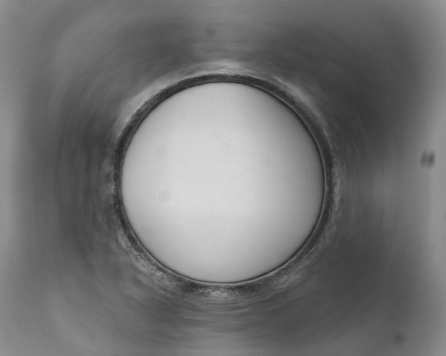 X0000111051318200907091624