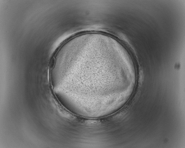 X0000111051320200907091624