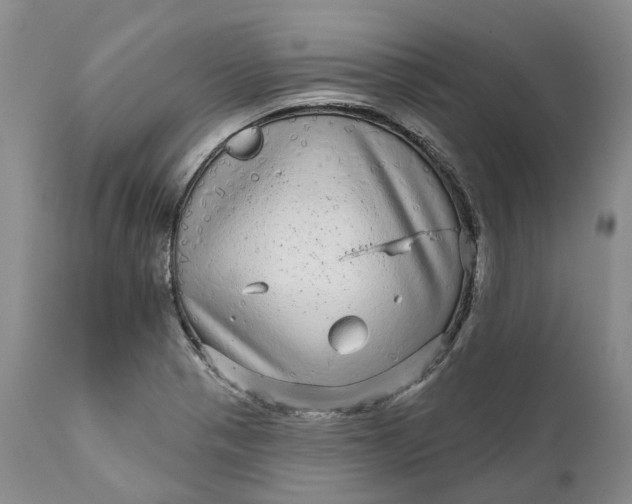 X0000111051321200907091624