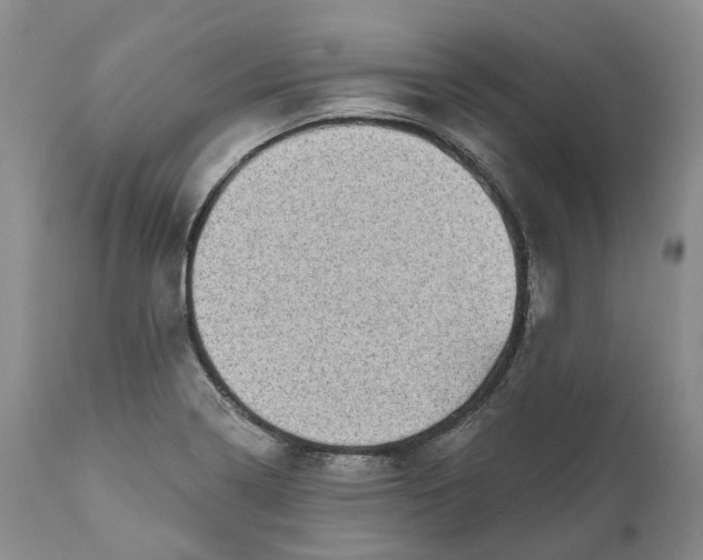 X0000111051322200907091624