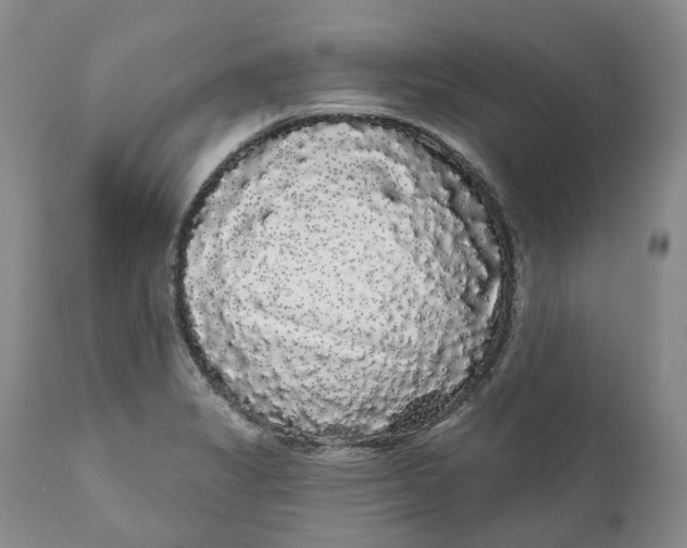 X0000111051325200907091624