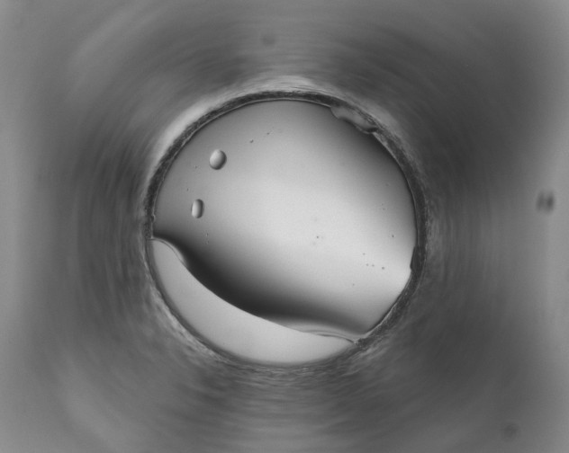 X0000111051326200907091624