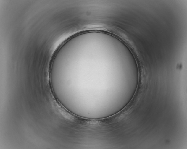 X0000111051328200907091624