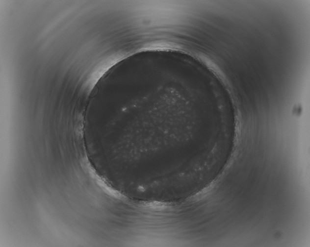 X0000111051329200907091624