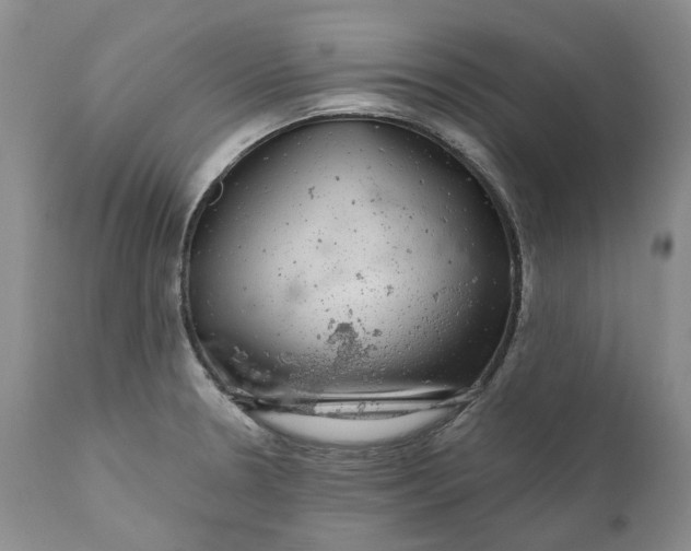 X0000111051330200907091624