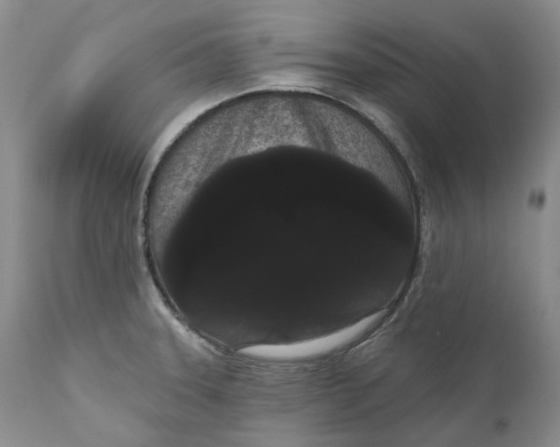 X0000111051331200907091624