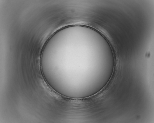 X0000111051332200907091624