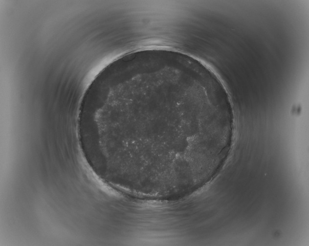 X0000111051333200907091624