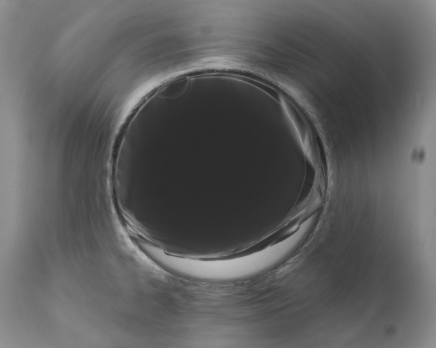 X0000111051334200907091624