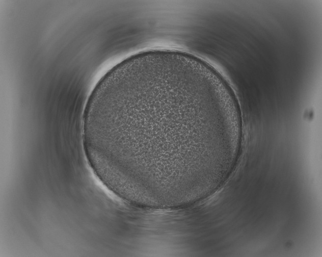 X0000111051335200907091624