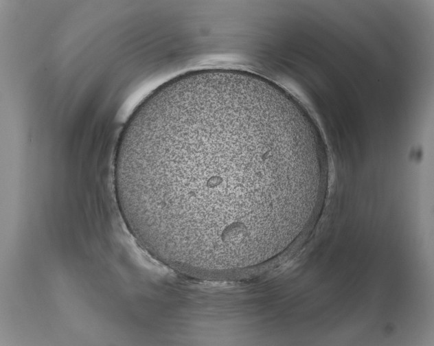 X0000111051336200907091624