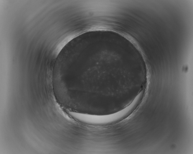 X0000111051337200907091624