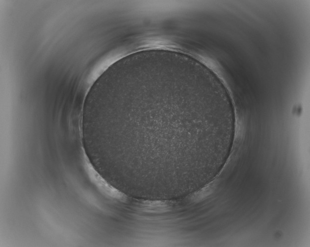 X0000111051338200907091624