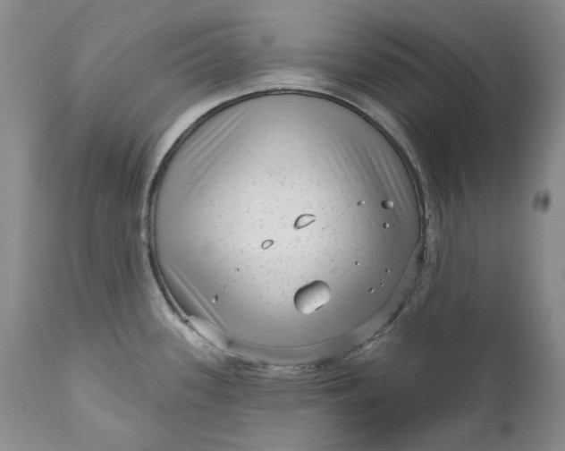 X0000111051339200907091624