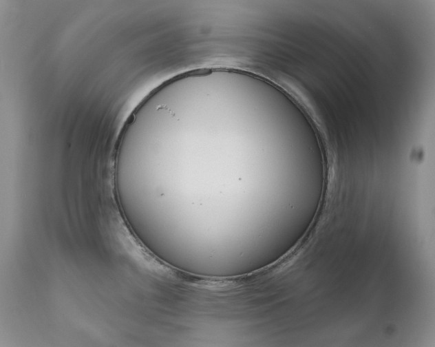 X0000111051340200907091624