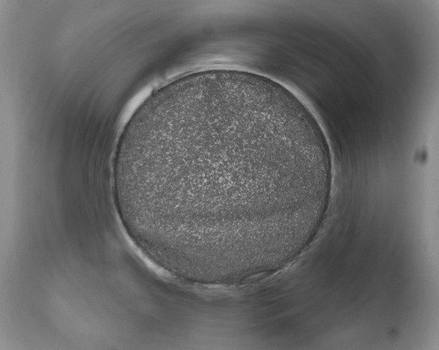 X0000111051341200907091624