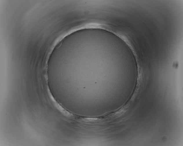 X0000111051342200907091624