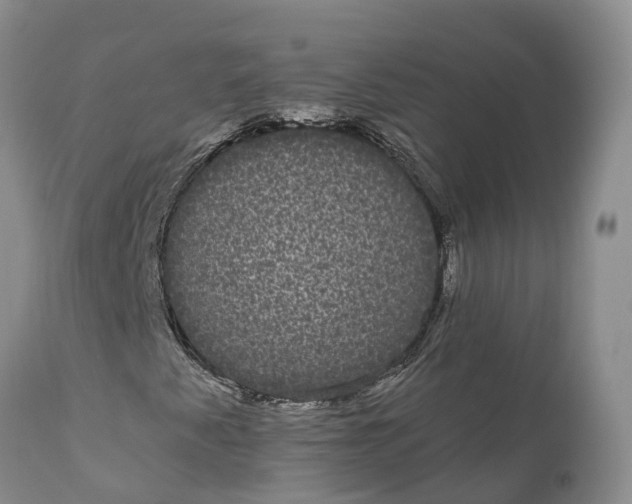 X0000111051345200907091624